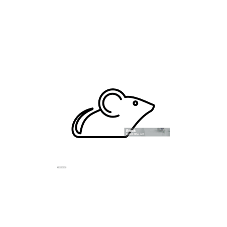 . Souris en peluche CatPlay