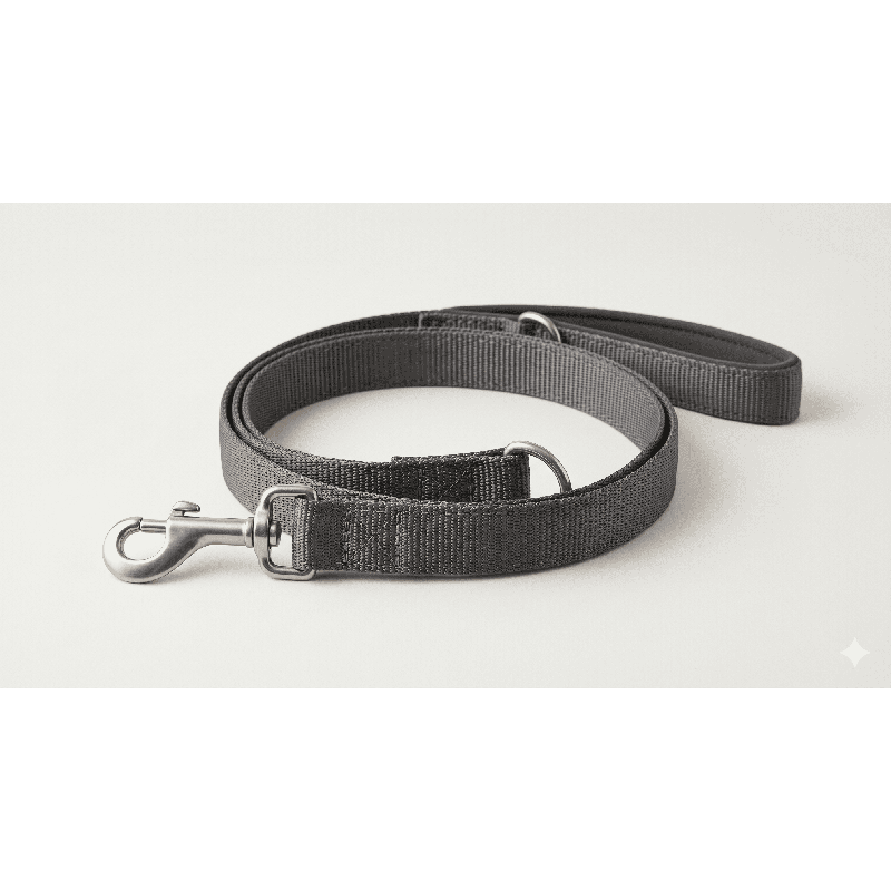 Pack Balade Chien