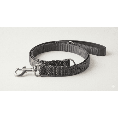 Pack Balade Chien
